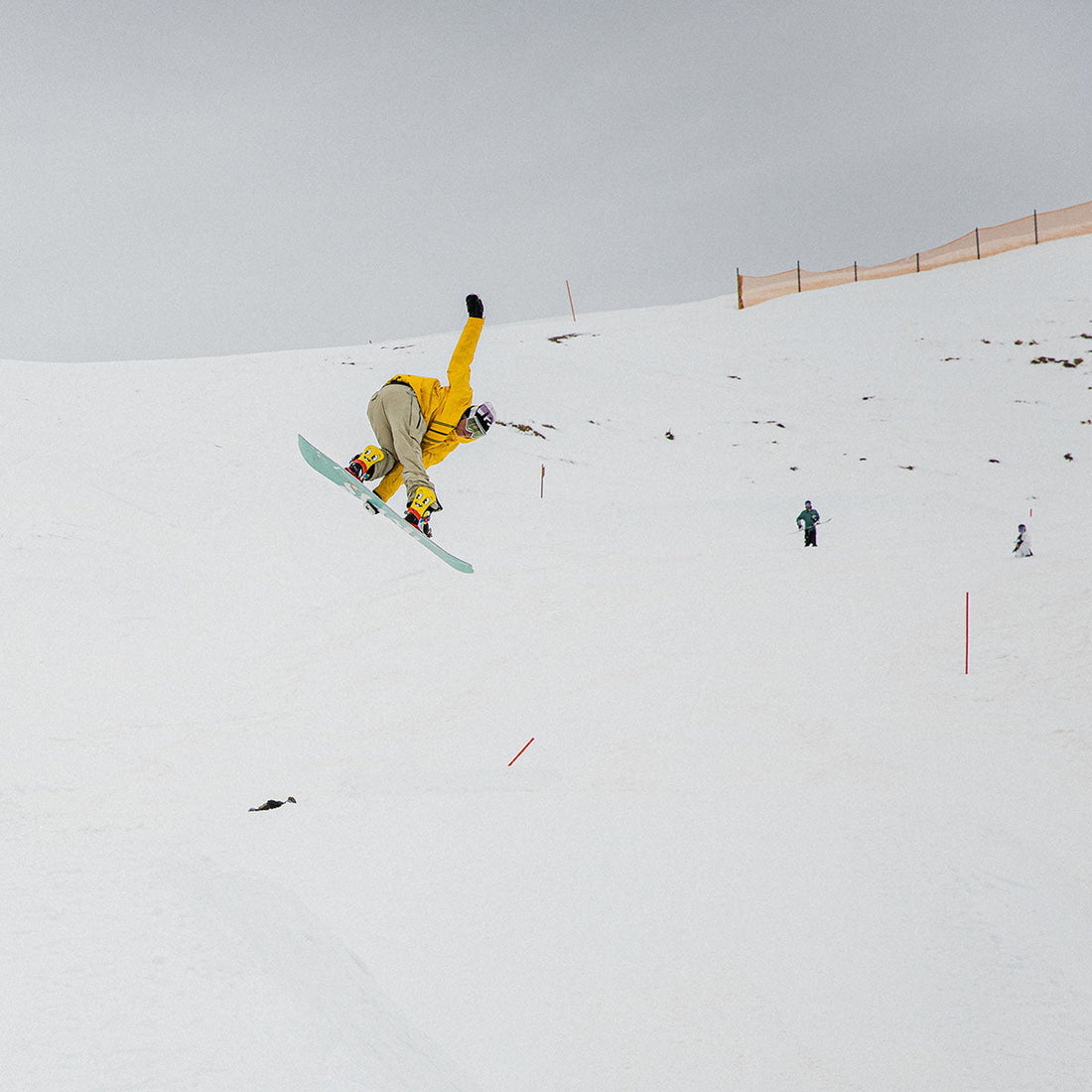 Slash by GiGi -  Spectrum Snowboard  - ApARTment